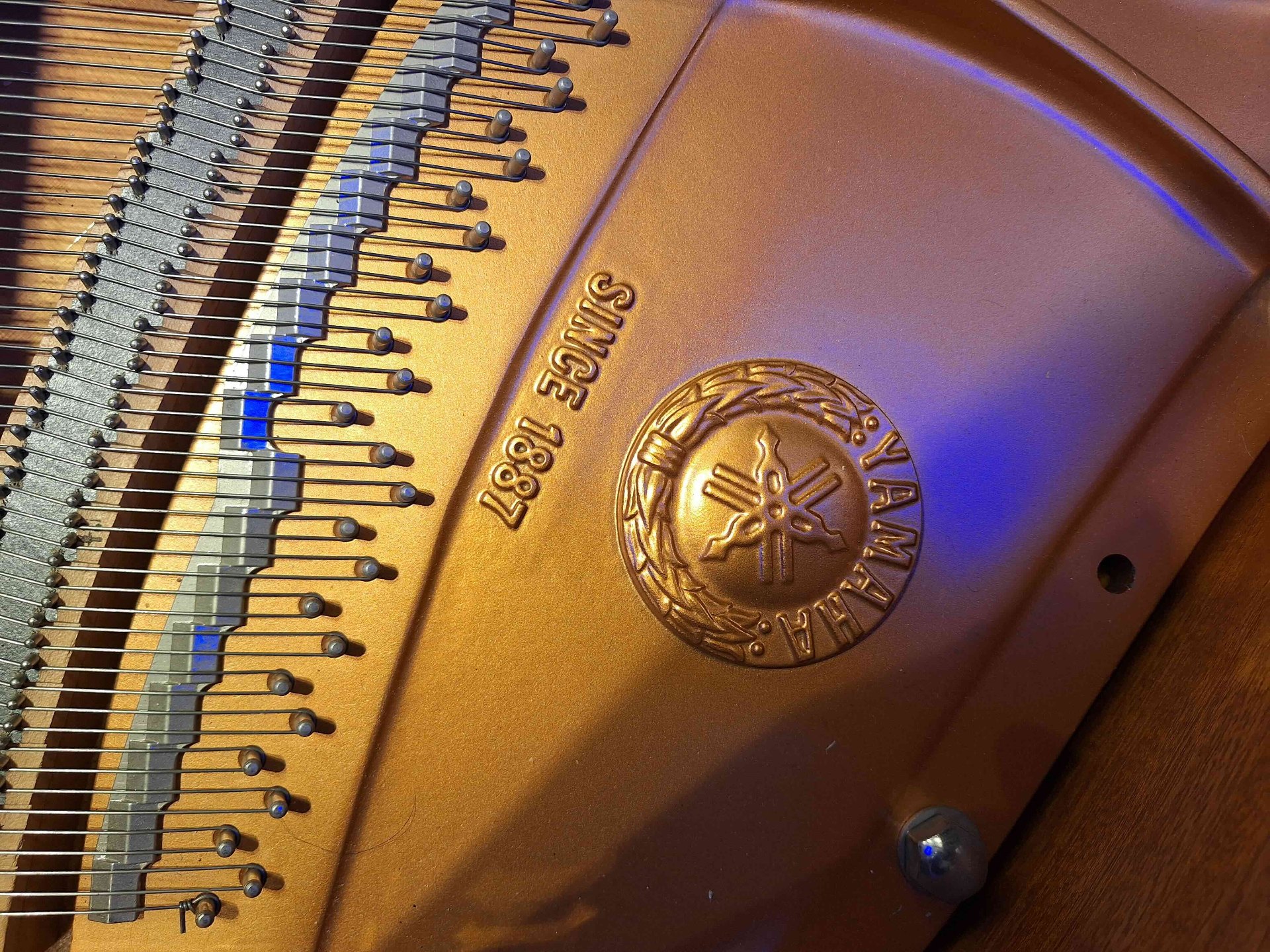 Yamaha Since 1887 — detalle del bastidor dorado